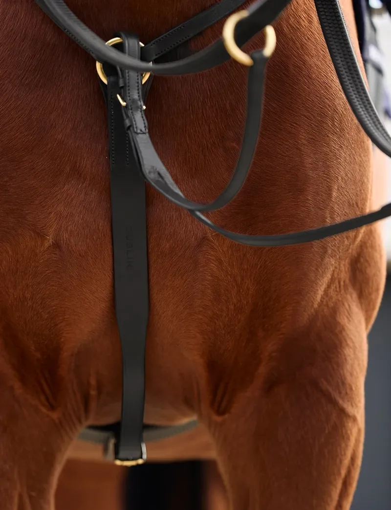 Dublin 3-Point Breastplate - Black-6