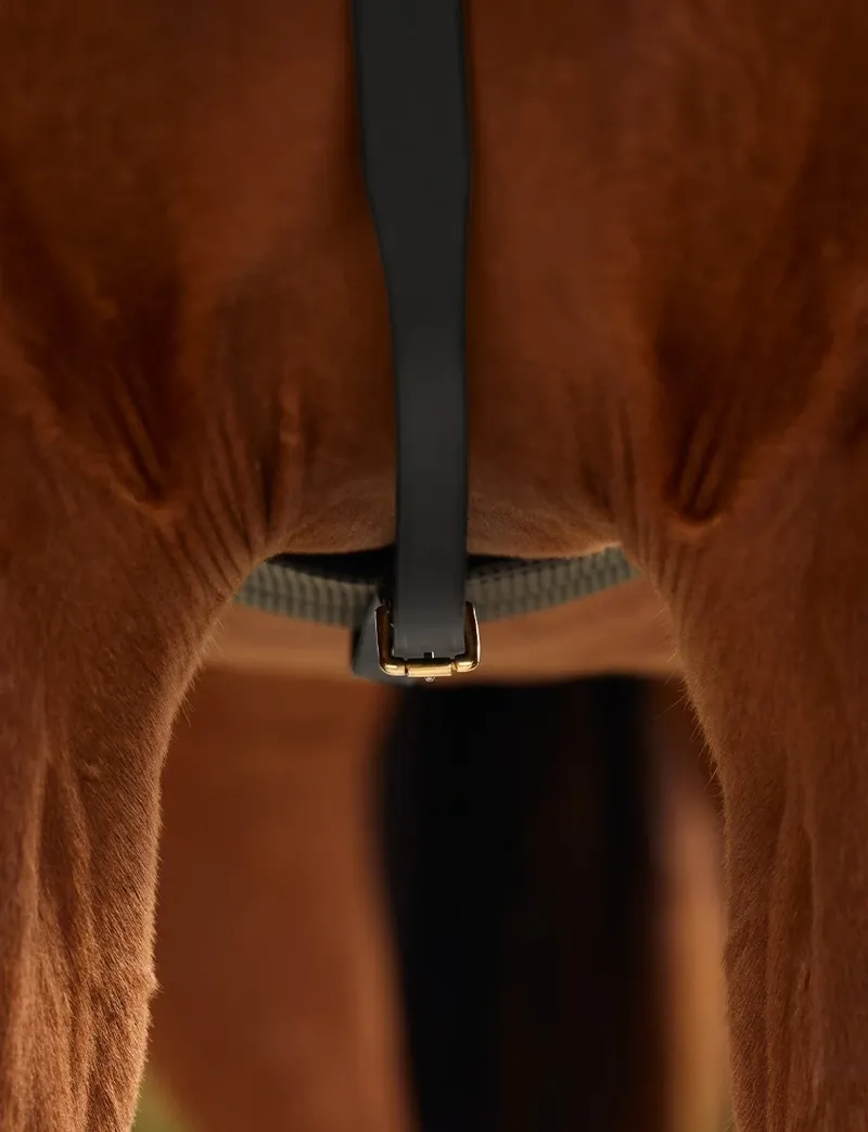 Dublin 3-Point Breastplate - Black-5