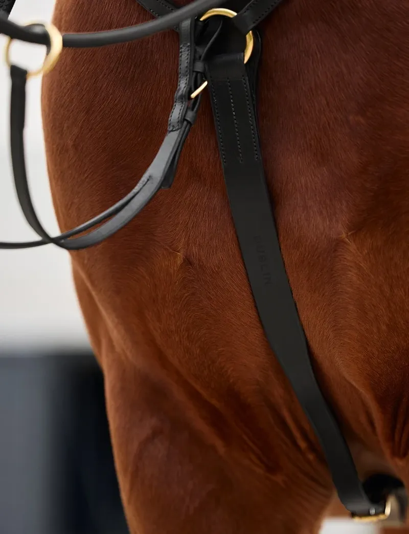 Dublin 3-Point Breastplate - Black-4