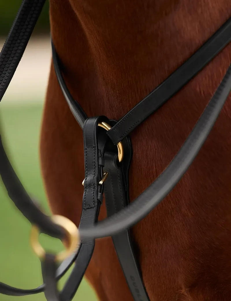 Dublin 3-Point Breastplate - Black-3