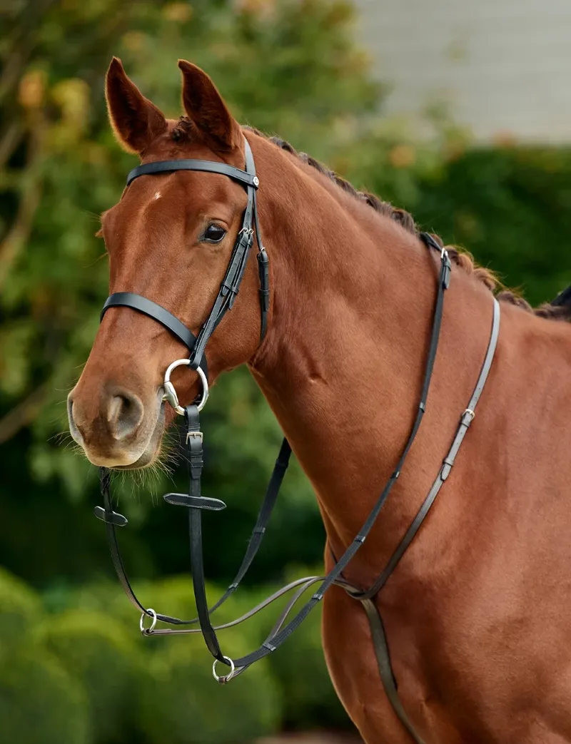 Dublin Running Martingale - Black