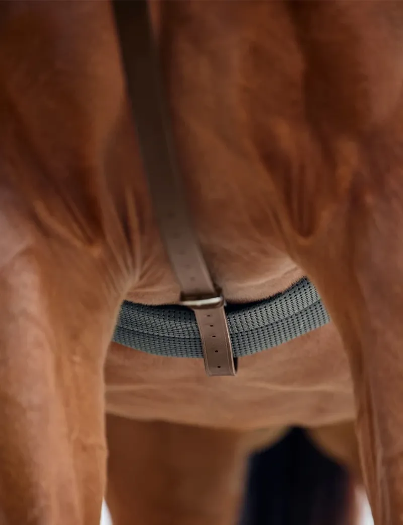 Dublin Running Martingale - Brown-1