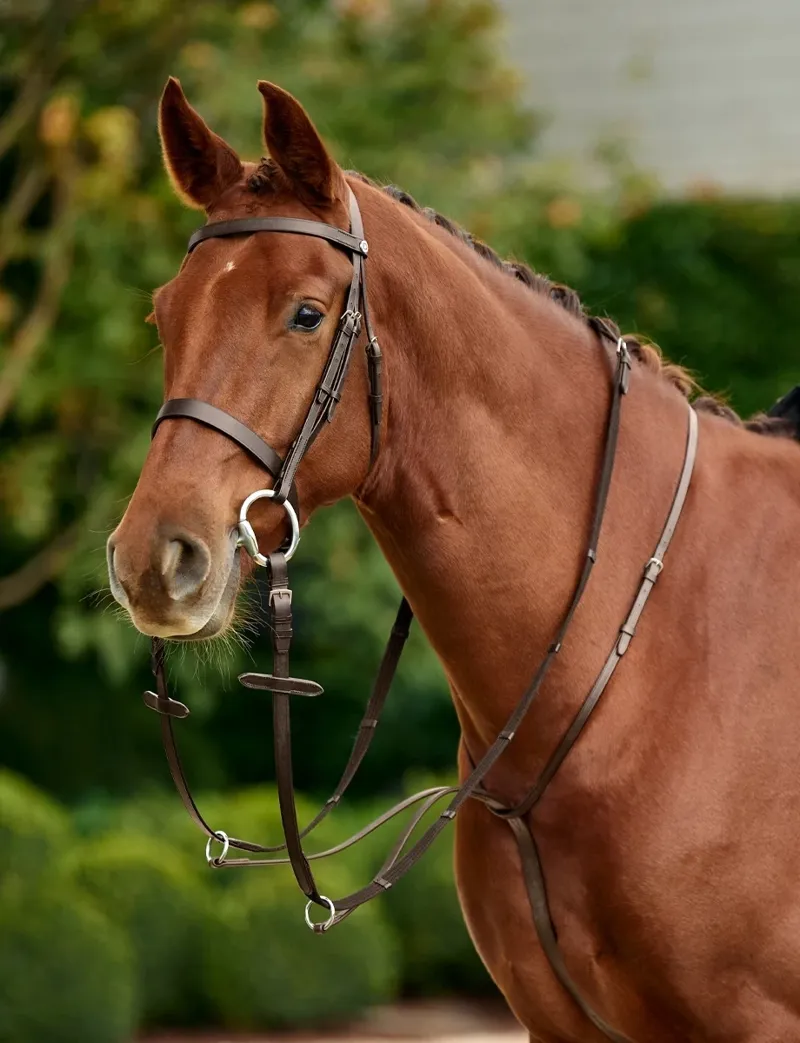 Dublin Running Martingale - Brown