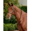 Dublin Running Martingale - Brown
