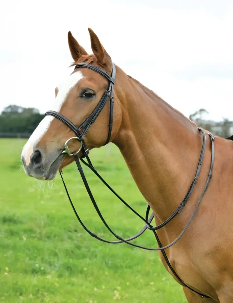 Dublin Standing Martingale - Brown