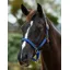 Dublin Braided Leather Headcollar - Cobalt