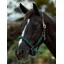 Dublin Braided Leather Headcollar - Hunter Green