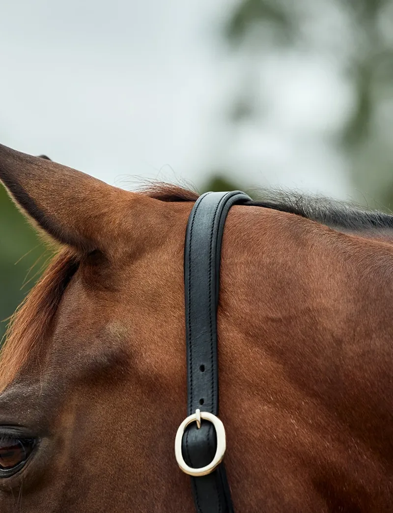 Dublin Leather Rope Headcollar - Black/Black-3