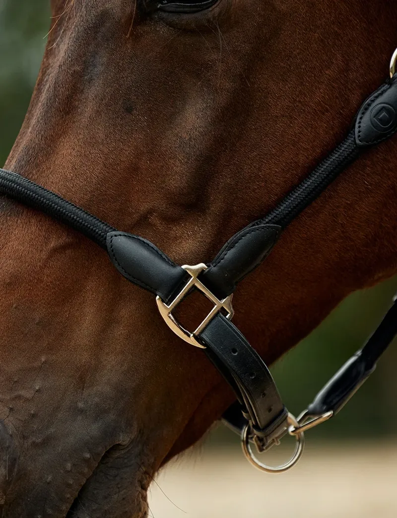 Dublin Leather Rope Headcollar - Black/Black-2