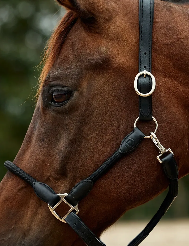 Dublin Leather Rope Headcollar - Black/Black-1