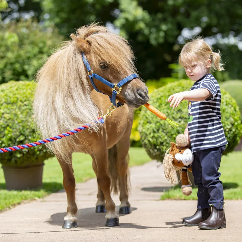 Shires Winnie and Me Children's Jodhpurs - Navy-11