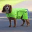 Shires EQUI-FLECTOR Reflective Mesh Dog Coat - Yellow
