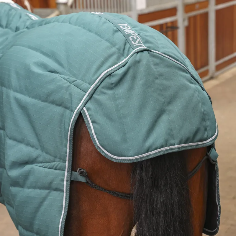 Shires Tempest Original 200g Stable Rug - Emerald-5