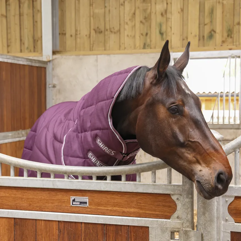 Shires Tempest Original 300g Combo Stable Rug - Burgundy