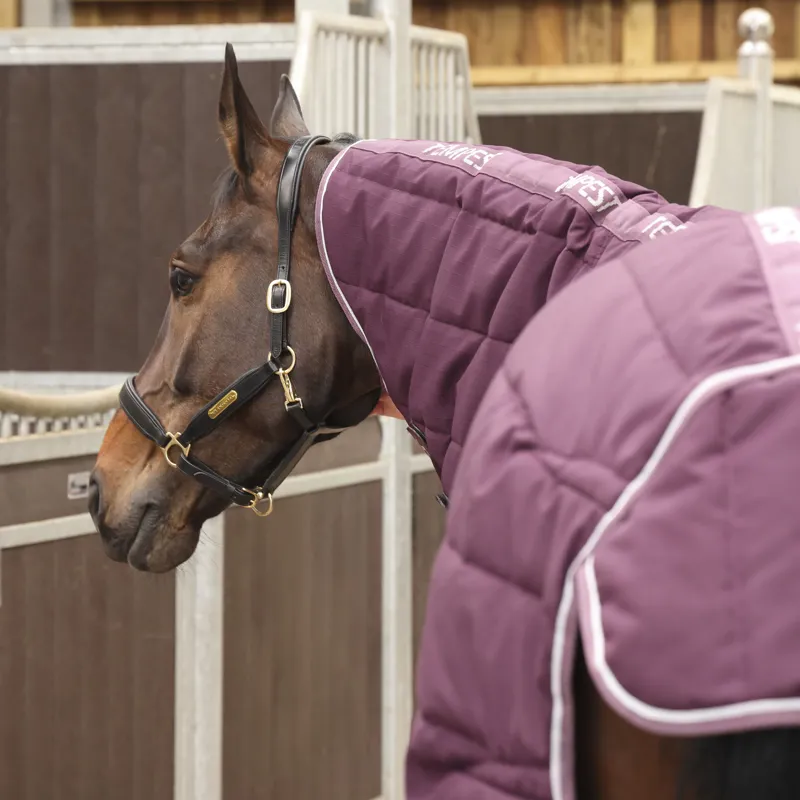 Shires Tempest Original 300g Stable Rug and Neck Set - Burgundy-2