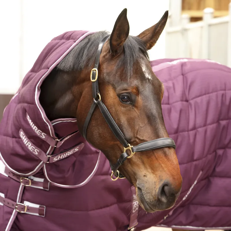 Shires Tempest Original 300g Stable Rug and Neck Set - Burgundy-1