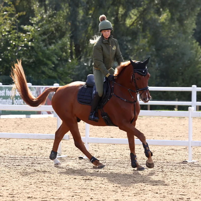 Shires Aubrion Team Blouson - Moss-6