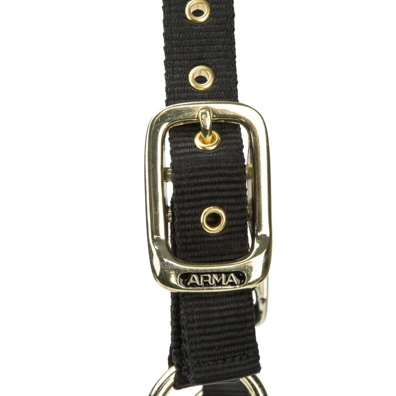 Shires ARMA Porto Headcollar - Black-1