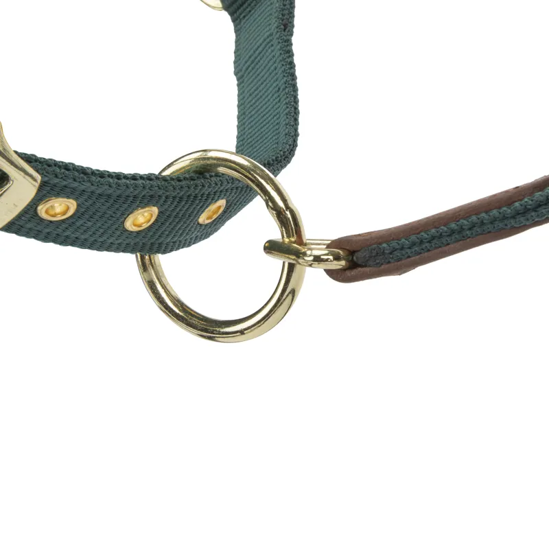 Shires ARMA Porto Headcollar - Green-3