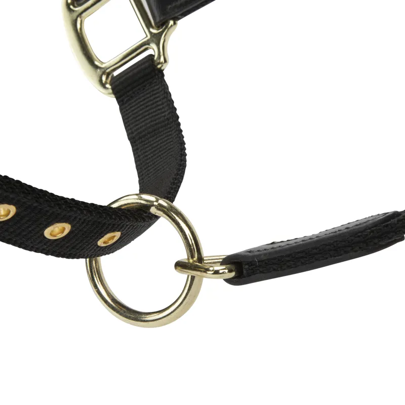 Shires ARMA Porto Headcollar - Black-3