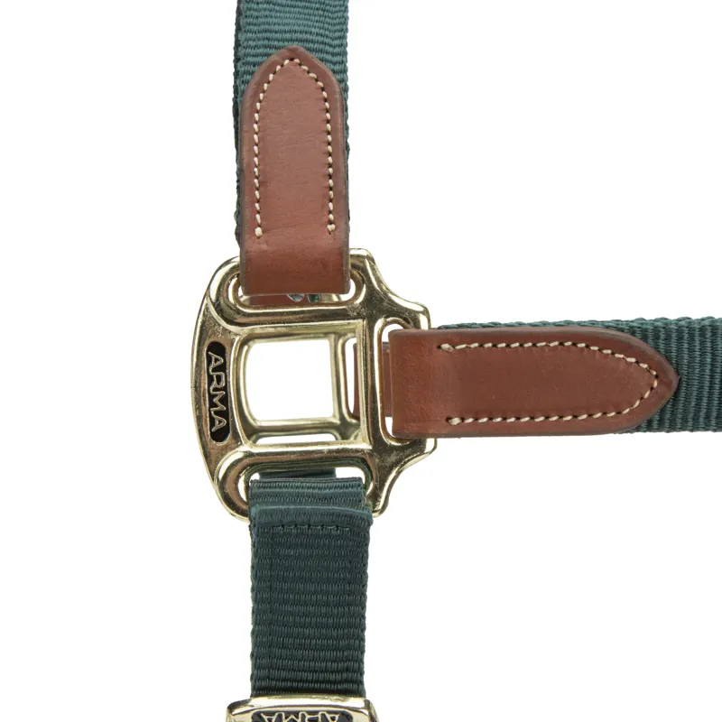 Shires ARMA Porto Headcollar - Green-4