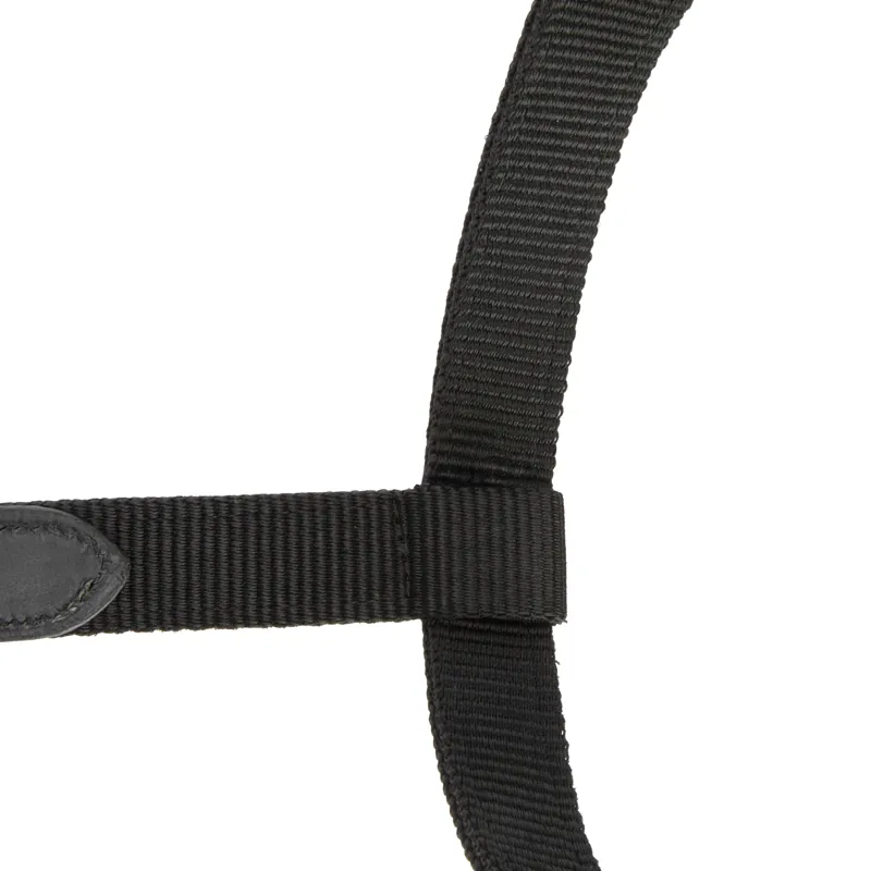 Shires ARMA Porto Headcollar - Black-6