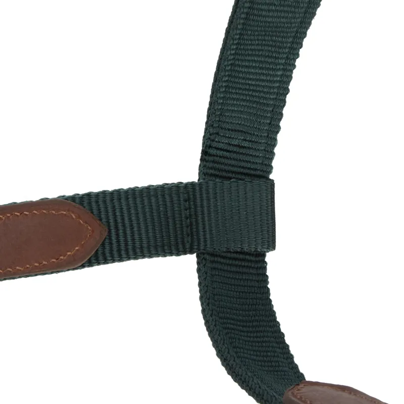 Shires ARMA Porto Headcollar - Green-5