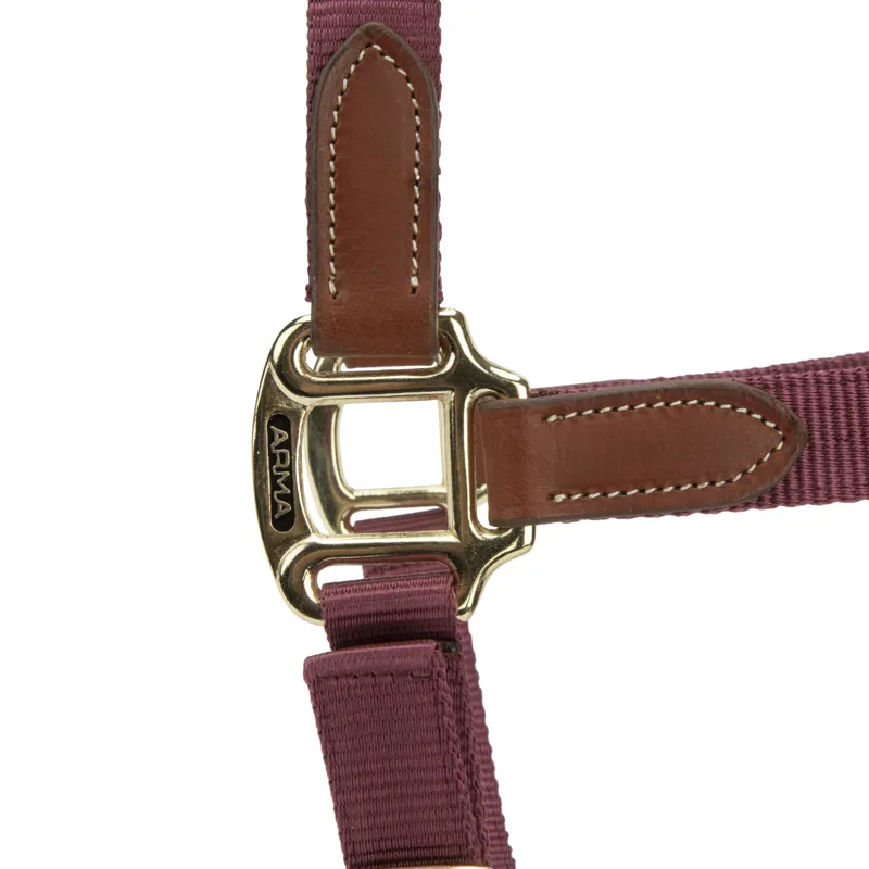Shires ARMA Porto Headcollar - Black Cherry-4