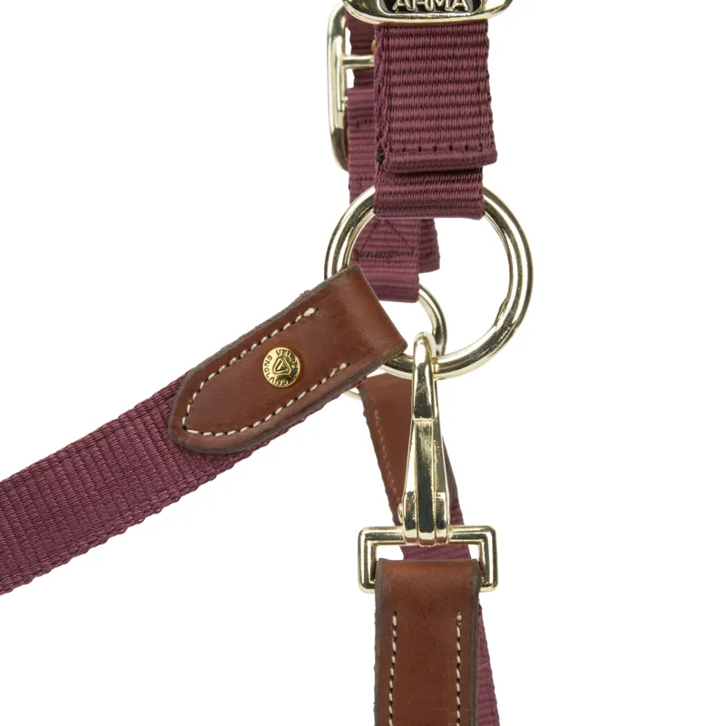Shires ARMA Porto Headcollar - Black Cherry-2