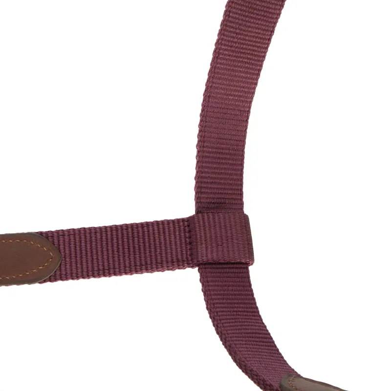 Shires ARMA Porto Headcollar - Black Cherry-5