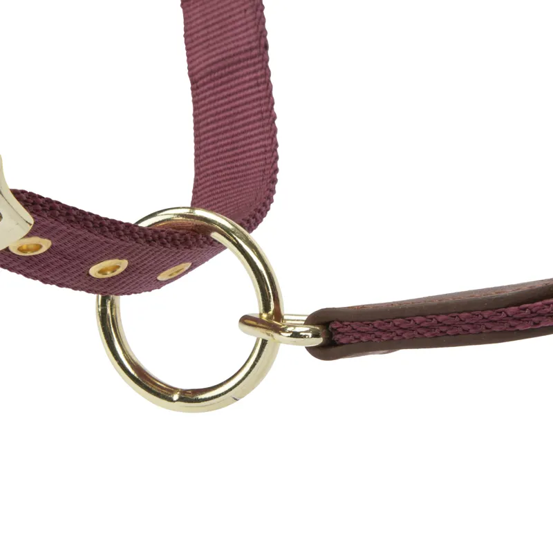 Shires ARMA Porto Headcollar - Black Cherry-3