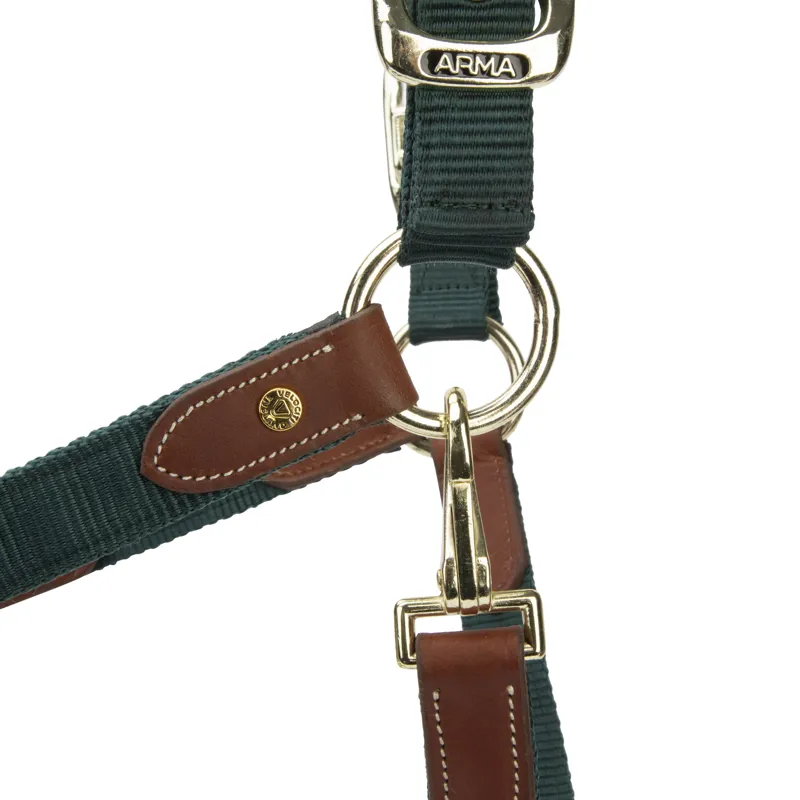 Shires ARMA Porto Headcollar - Green-2