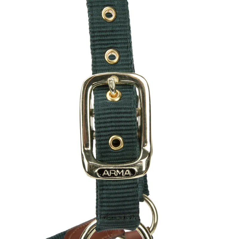 Shires ARMA Porto Headcollar - Green-1