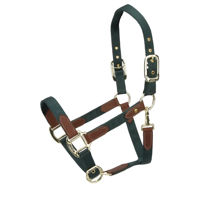 Shires ARMA Porto Headcollar - Green
