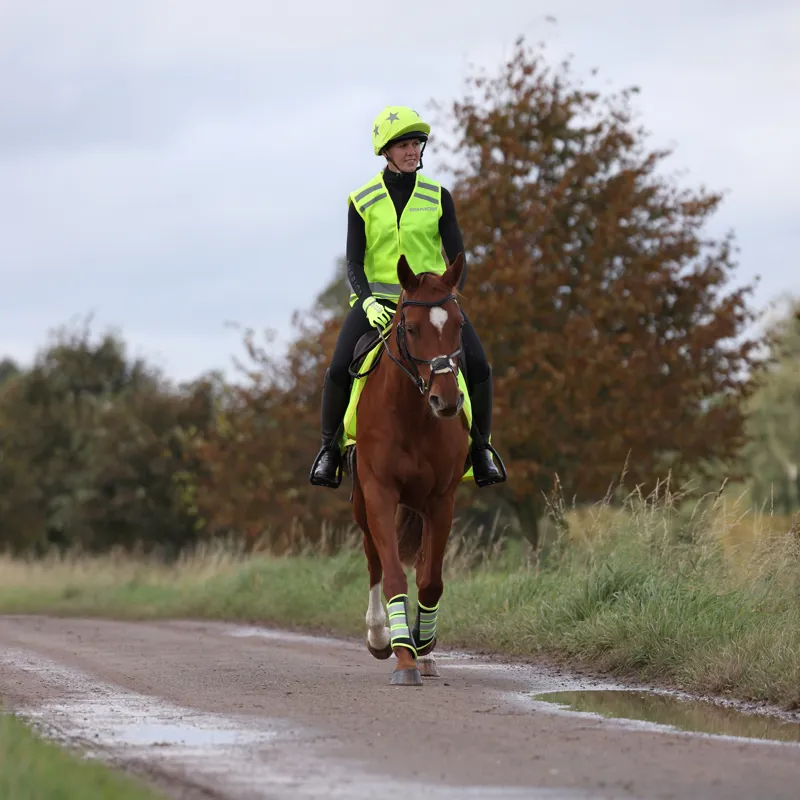 Shires Equi Flector Adults Safety Vest - Yellow-4