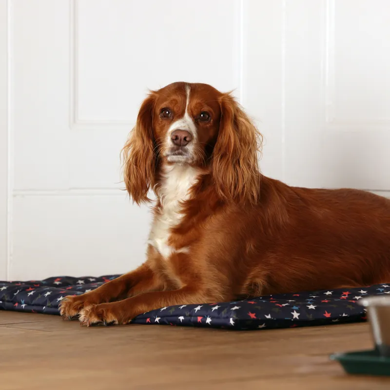 Shires Digby and Fox Waterproof Padded Dog Bed - Star-4
