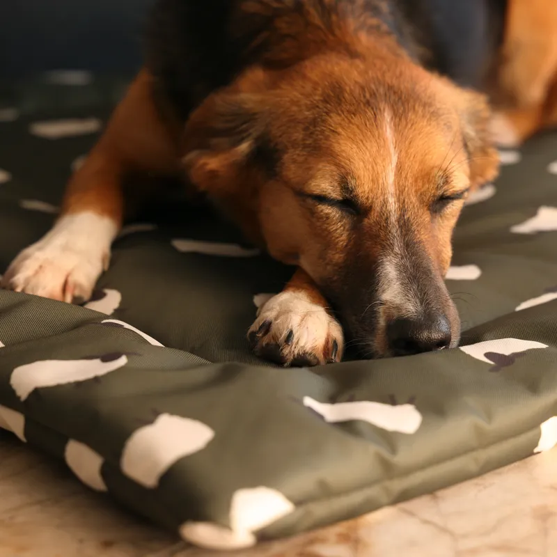 Shires Digby and Fox Waterproof Padded Dog Bed - Sheep-6