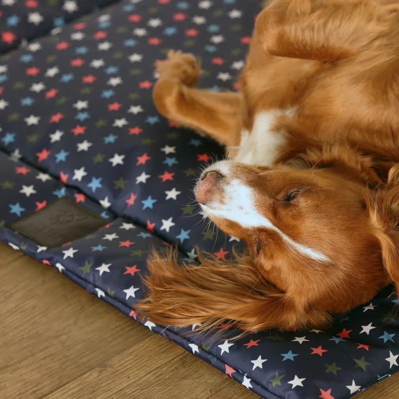 Shires Digby and Fox Waterproof Padded Dog Bed - Star-3