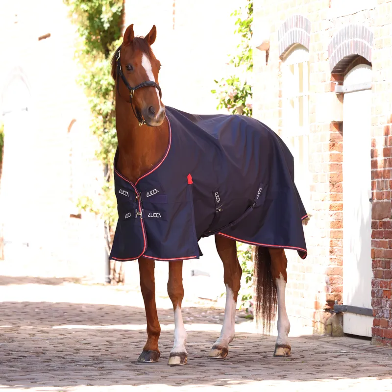 LUCCA Lightweight 0g Standard Neck Turnout Rug - Navy