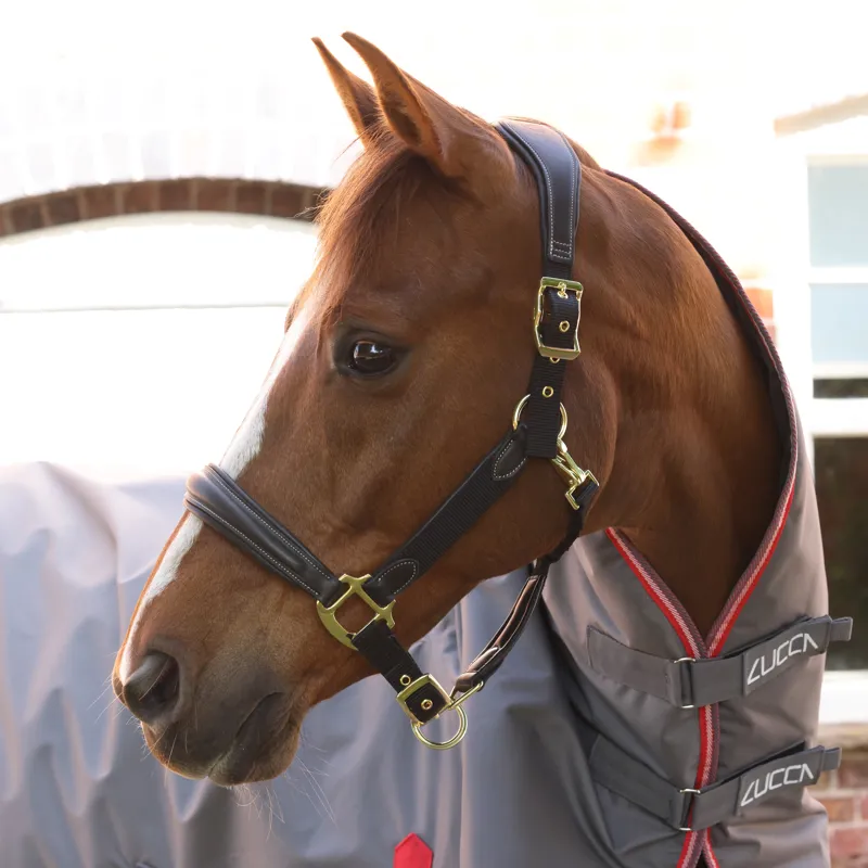 LUCCA 200g Combo Turnout Rug - Grey-8