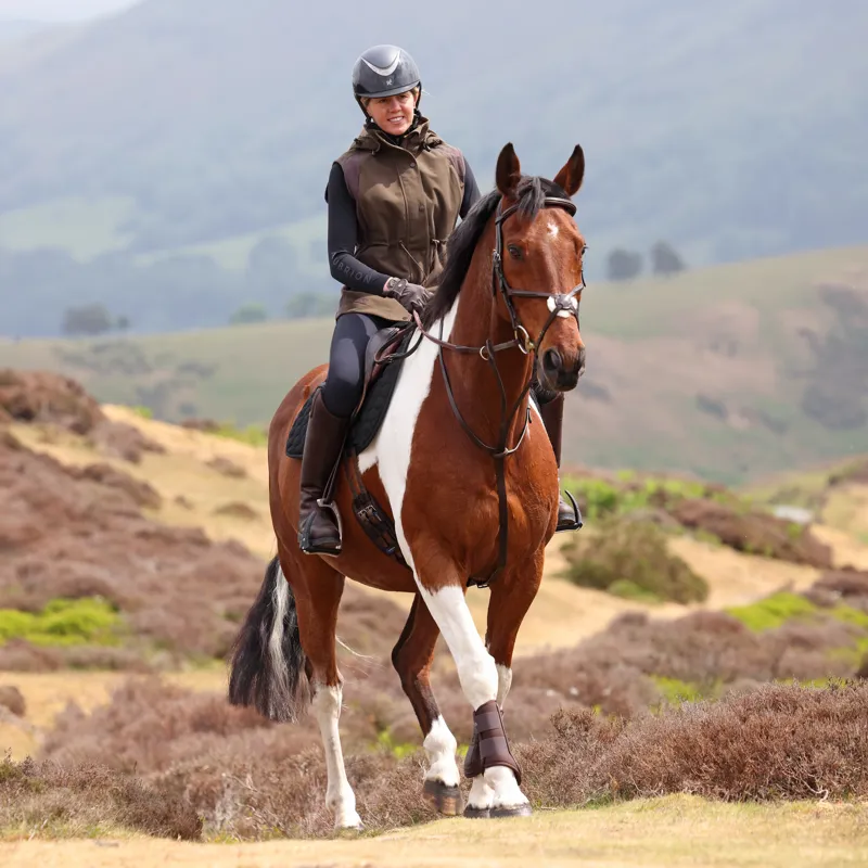 Shires Aubrion Heritage Gilet - Dark Olive-11