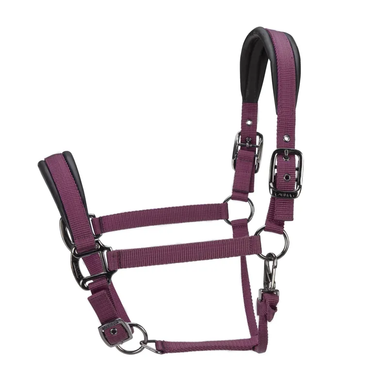 Shires ARMA Pro Padded Headcollar - Black Cherry