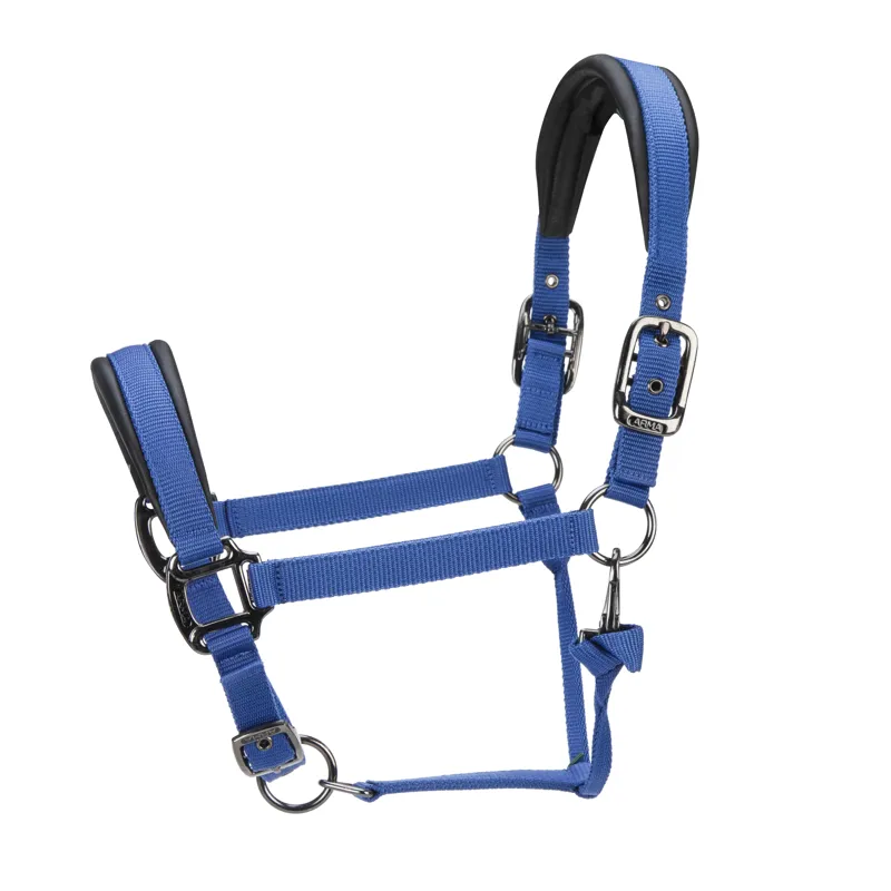Shires ARMA Pro Padded Headcollar - Blue