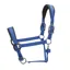 Shires ARMA Pro Padded Headcollar - Blue