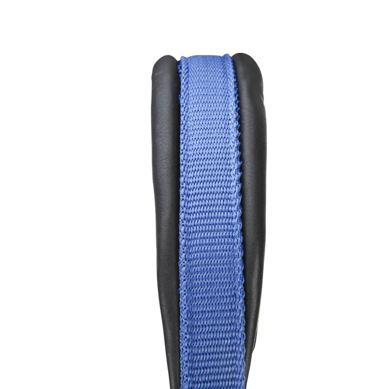 Shires ARMA Pro Padded Headcollar - Blue-1