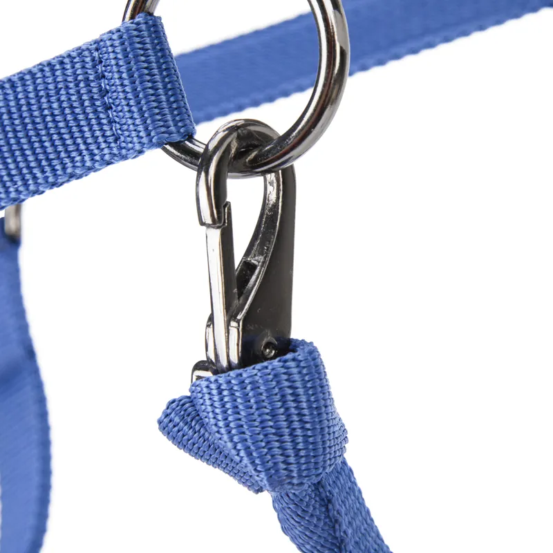 Shires ARMA Pro Padded Headcollar - Blue-2