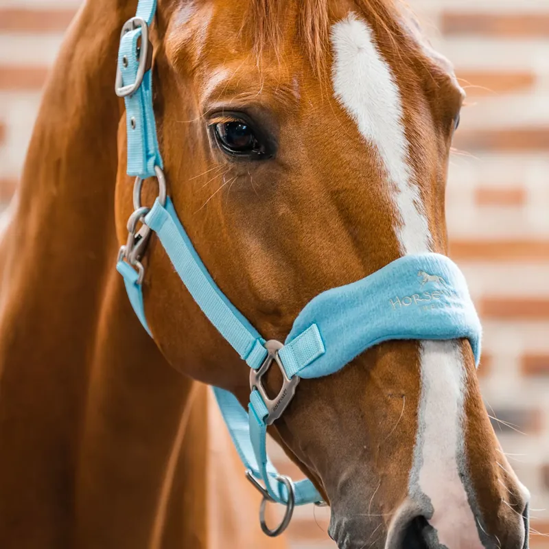 Horseware Signature Grooming Headcollar - Blue Haze-2
