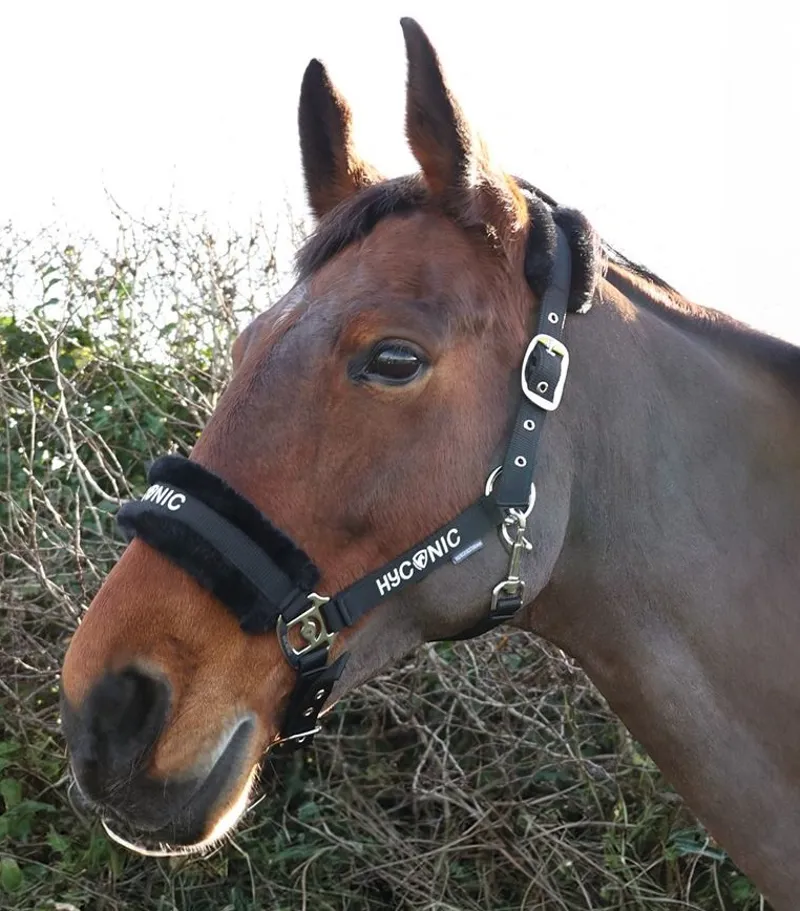 HYCONIC Faux Fur Head Collar and Lead Rope - Black