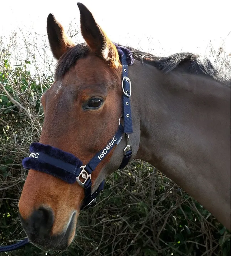 HYCONIC Faux Fur Head Collar and Lead Rope - Navy