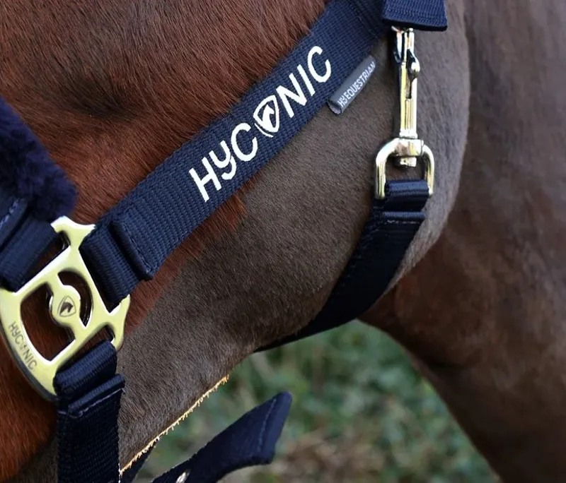 HYCONIC Faux Fur Head Collar and Lead Rope - Navy-1